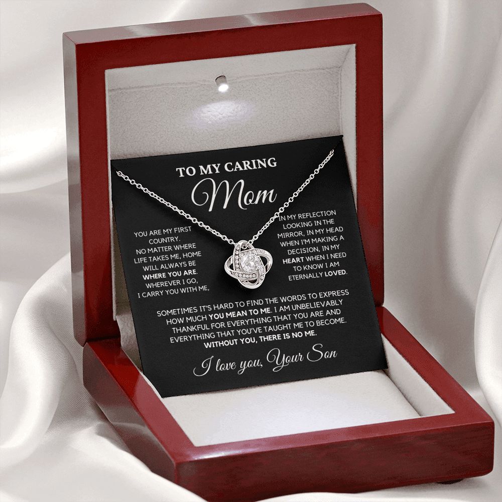 Gift for Mom (Love, Son) - How Much You Mean to Me